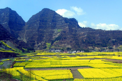 咸丰 | 高乐山镇举办山民歌培训班
