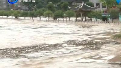 视频|王海涛部署防大汛抗大灾贯彻落实工作
