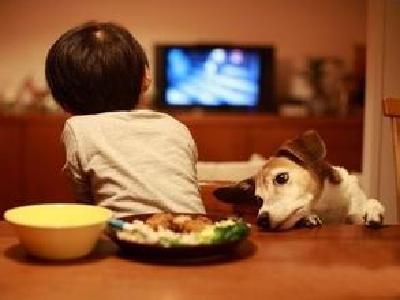 湖北拟推新规 不满16周岁未成年人禁单独生活