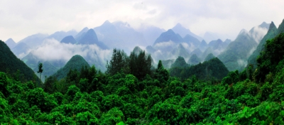  鹤峰 | “一定要确保群众安全转移”