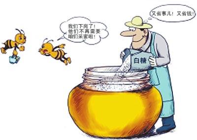 利川 | 汪营专项整治蜂蜜市场