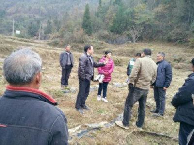 恩施州森林公安机关 2016年上半年开展专项行动成效显著    