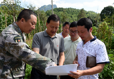 省相关领导赴新塘乡下塘坝指导地质灾害滑坡处置