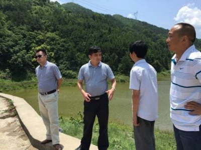 湖北省水利厅副厅长对巴东县水库防汛工作进行专项检查  