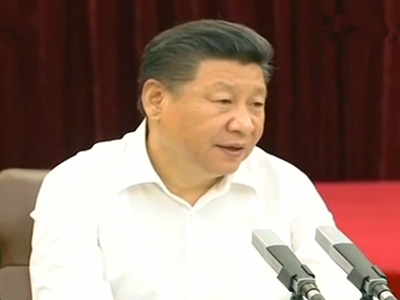 习近平：切实做好新形势下东西部扶贫协作工作