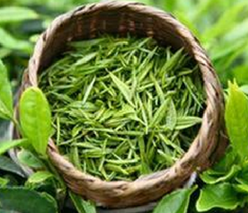 宣恩11个茶样质检全部合格