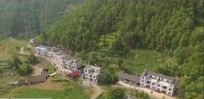 视频|王海涛：以红色为核心元素 以绿色为基本底色