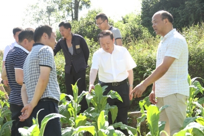 州烟草专卖局全体党组成员前往建始店子坪村学习“愚公精神” 