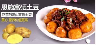 土豆铺开致富路