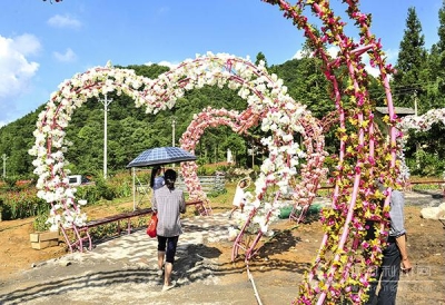 又双叒是花海：利川东城笔架山花千谷景区试营业