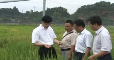 视频 | 湖北省农科院调研恩施州科技抗灾救灾工作