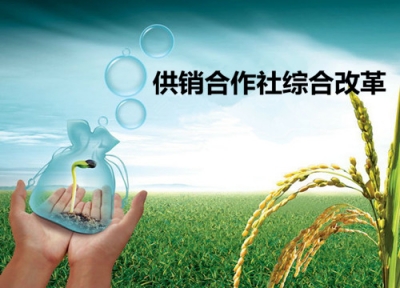 视频 | 精心组织供销社综合改革 确保中央精神强“三农”