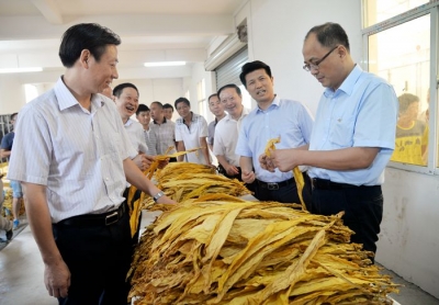 湖北中烟工业公司一行调研恩施州烟叶基地建设 