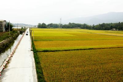 部省下达恩施州农村公路精准扶贫资金34113万元
