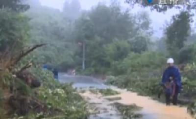 视频 | 宣恩：全力以赴确保滑坡地段道路畅通