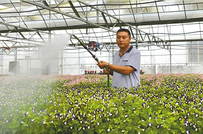 恩施 | 用诚信赚未来