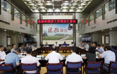 副州长夏锡璠调研现代烟草产业链建设 