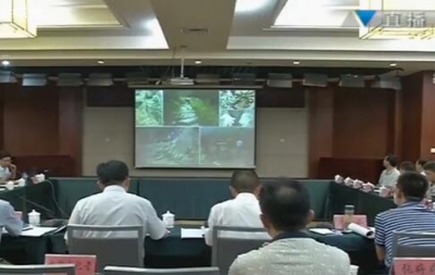 视频 | 建始县店子坪当代红色旅游基地规划》通过评审