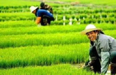  王海涛:抓紧开展灾后重建确保农业不减产农民不减收