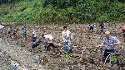 州政府办、恩施邮储银行工作组到漫水乡组织开展生产自救
