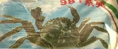 视频 | 摸清螃蟹养殖规律 以点带面齐致富