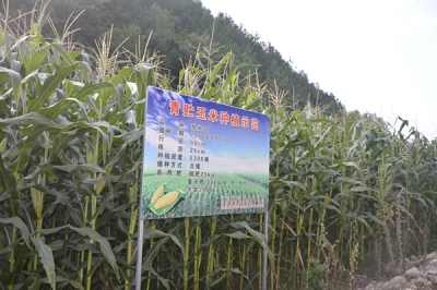 恩施州