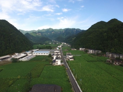 王海涛就恩施州烟草产业发展工作作出重要批示 