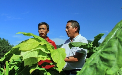 咸丰：田间课堂