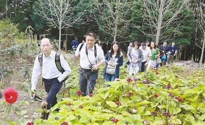 恩施 | 与会嘉宾参观华中药用植物园