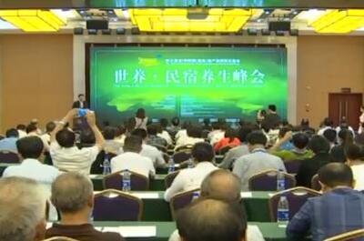 视频 | 世界养生大会——民宿养生峰会召开