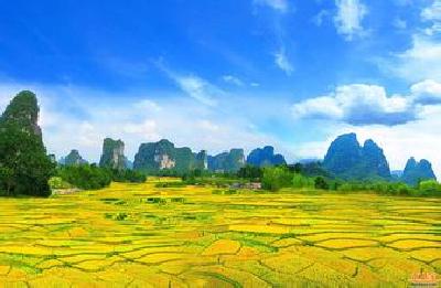 鹤峰 | 水坪村：加快脱贫致富步伐