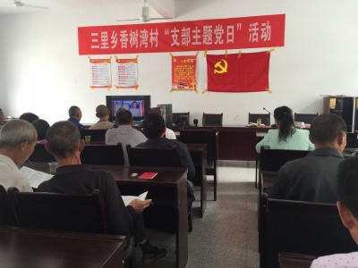 恩施州交通运输局驻村扶贫点将精准扶贫工作纳入“支部主题党日”活动新常态