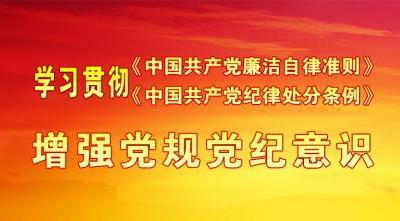 恩施州国资委：认真贯彻《准则》《条例》，切实把党纪要求落到实处