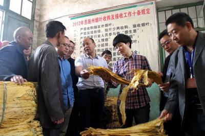 建始县领导调研督办全县当前烟叶收购工作 