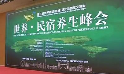 视频 | 专家学者共谋养生产业发展大计