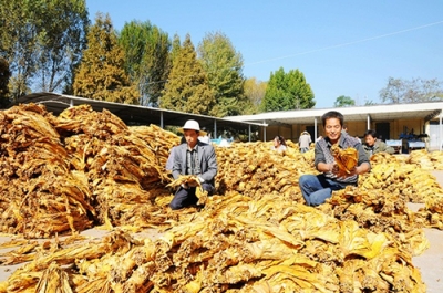 恩施州烟叶收购暨烟草市场整顿工作会召开