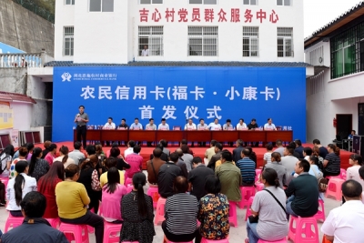 湖北省首张农民专用信用卡在龙凤试点首发