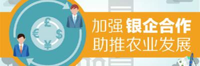 视频 | 加强银企合作 助推农业发展