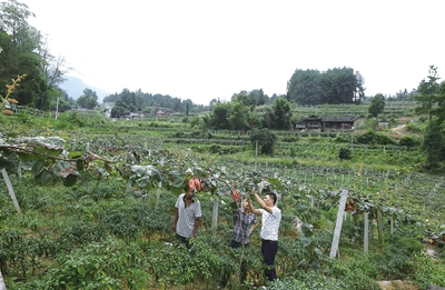咸丰 | “信息公路”成水车坪村致富通道