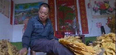 视频 | 巴东长岭岗村打造致富产业 
