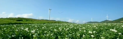 硒土豆：富民强州的特色产业