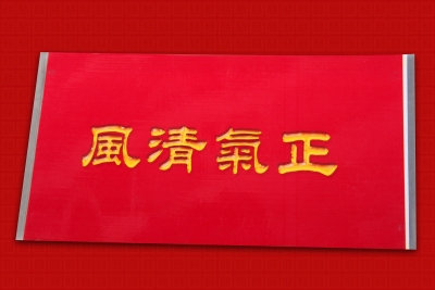 恩施州委巡察组反馈巴东县乡换届风气巡察意见