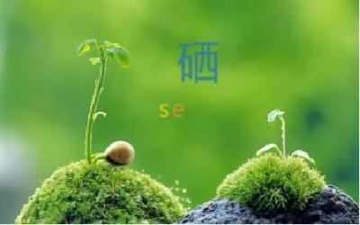 湖北恩施硒博会见闻：微量硒元素，托起大产业