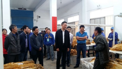 鹤峰：县委书记王小平调研烟叶收购工作 