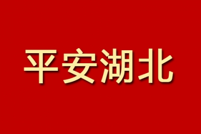 王晓东会见陈训秋一行 着力打造平安湖北建设“升级版”