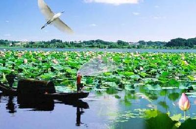2020年湖北湿地将达142个 洪湖沉湖等地“退耕还湿”