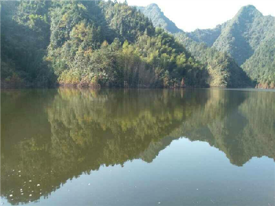来凤 | 老人不慎坠入河中 部门合力成功营救