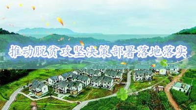 视频 | 王海涛在龙凤镇二坡村吉心村走访调研 推动脱贫攻坚决策部署落地落实