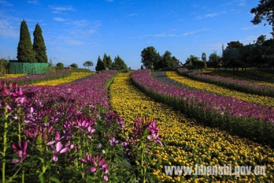 恩施城中花果山——幸福花开五峰山　