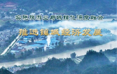 视频 | 王海涛:实施旅游业与城镇化深度融合推进镇域经济发展